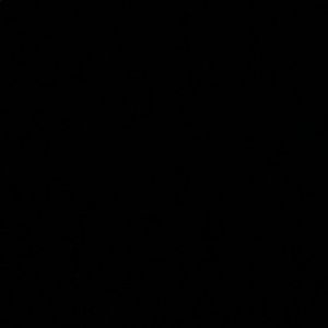 Meet your Posher, Craig